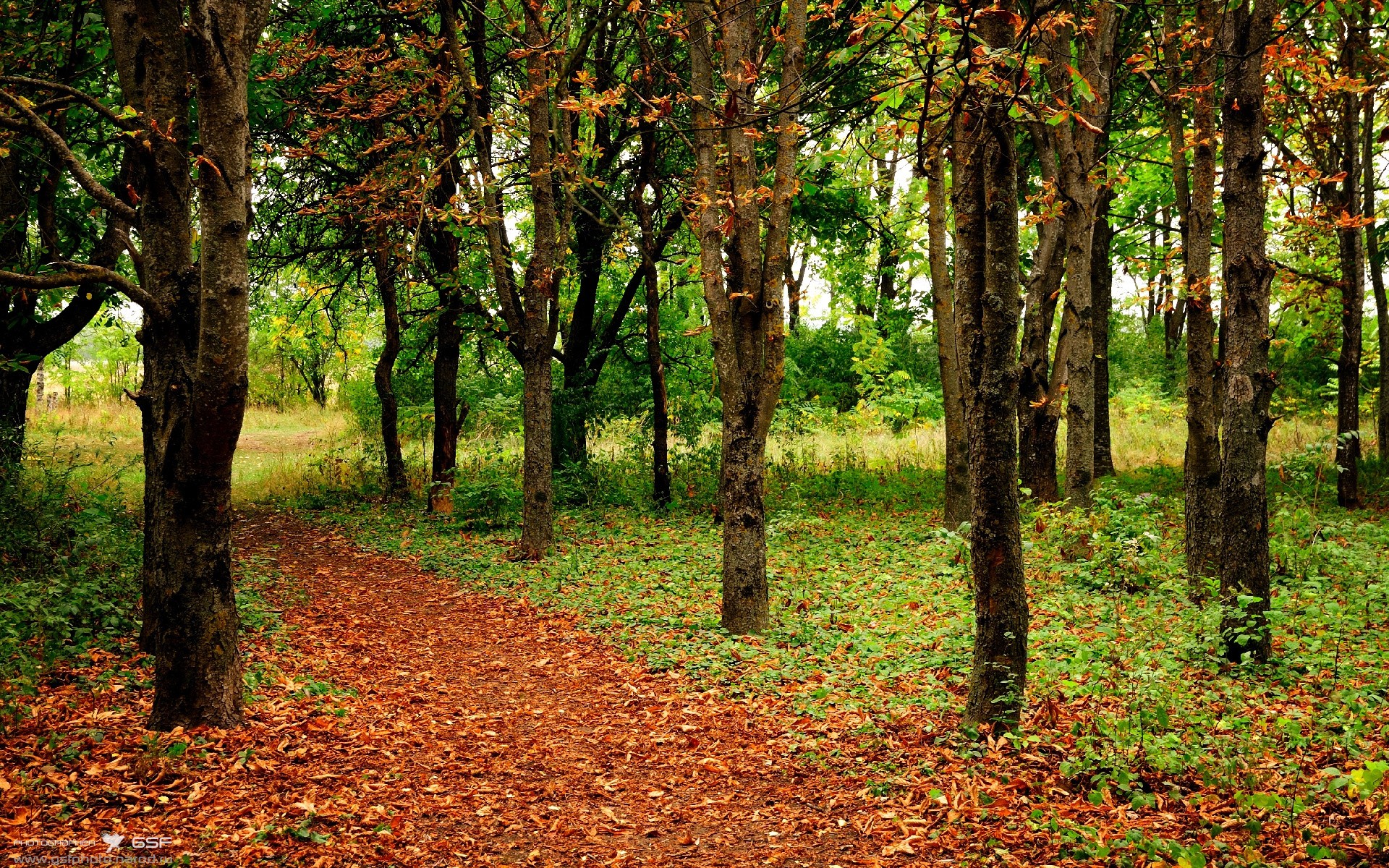 熊猫体育网页版-足球场馆环保材料广泛应用,绿色建设成为新标杆,足球场馆运营方案
